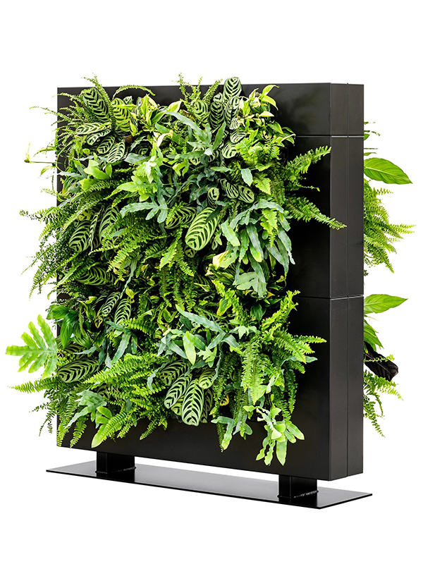 
                  
                    Séparateur végétal de bureaux LiveDivider PLUS ®
                  
                