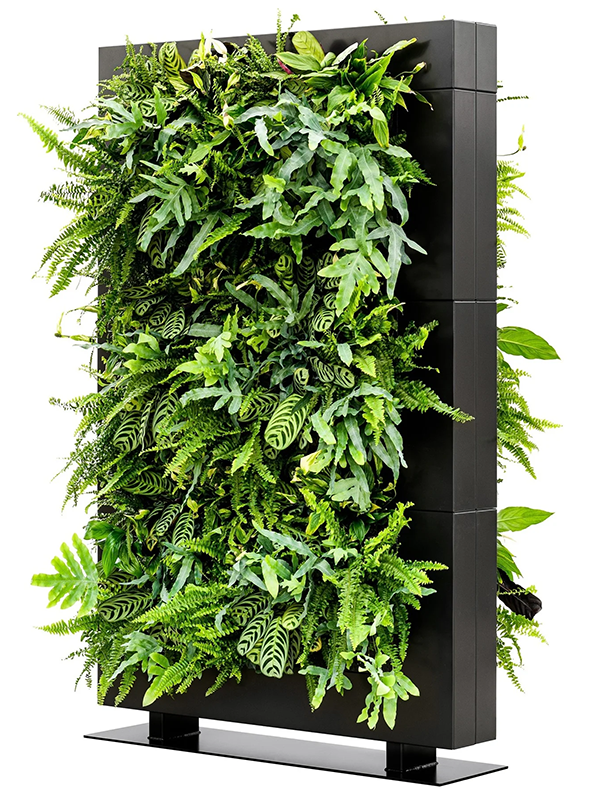 
                  
                    Séparateur végétal de bureaux LiveDivider PLUS ®
                  
                