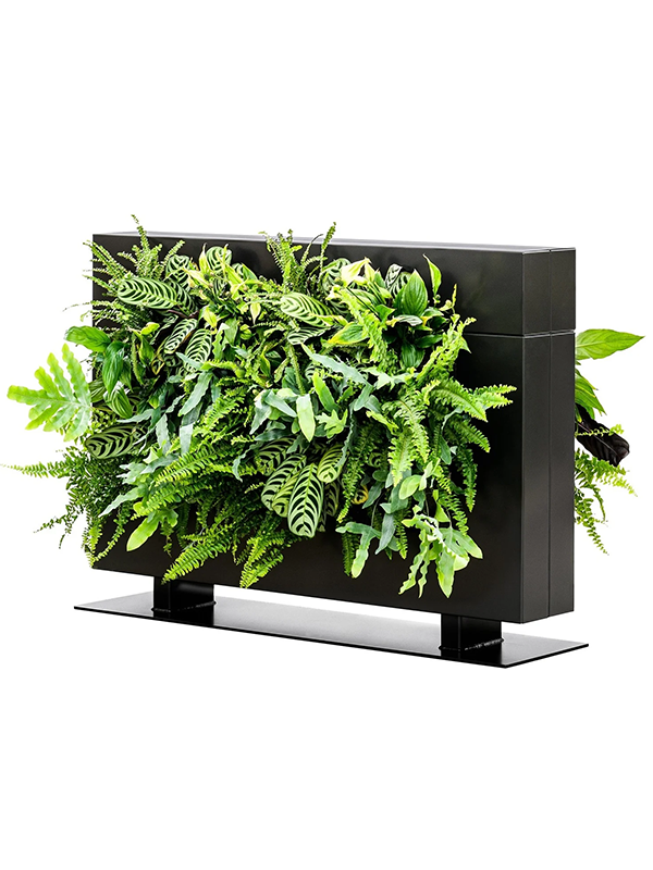 
                  
                    Séparateur végétal de bureaux LiveDivider PLUS ®
                  
                