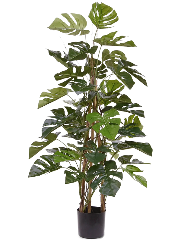 
                  
                    Monstera Deliciosa Artificiel
                  
                
