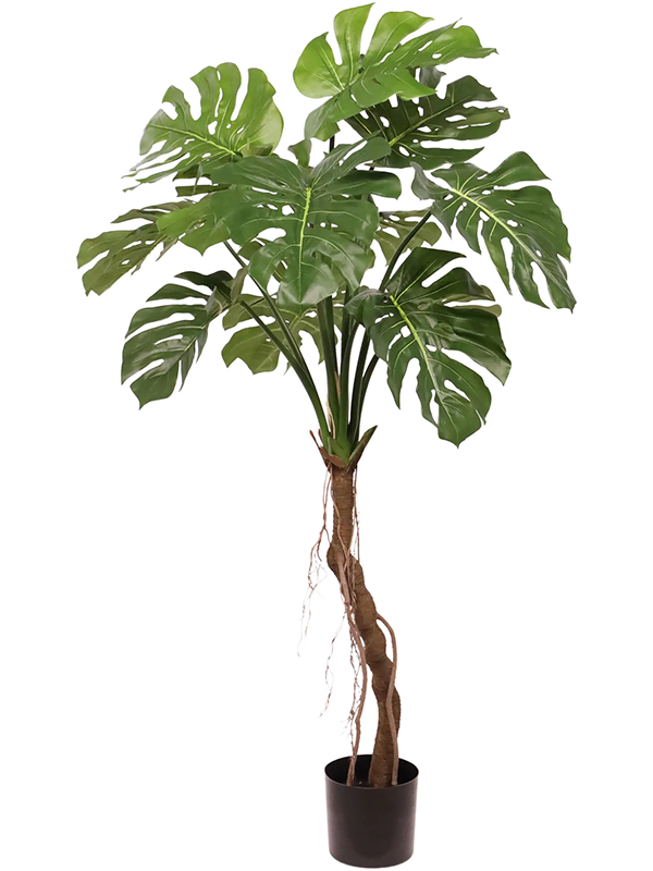 
                  
                    Monstera Deliciosa Artificiel
                  
                