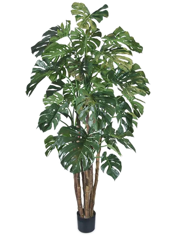 
                  
                    Monstera Deliciosa Artificiel
                  
                