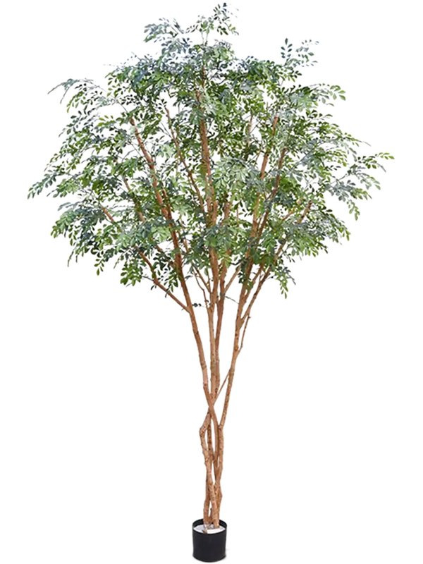 Murraya Paniculata artificiel.