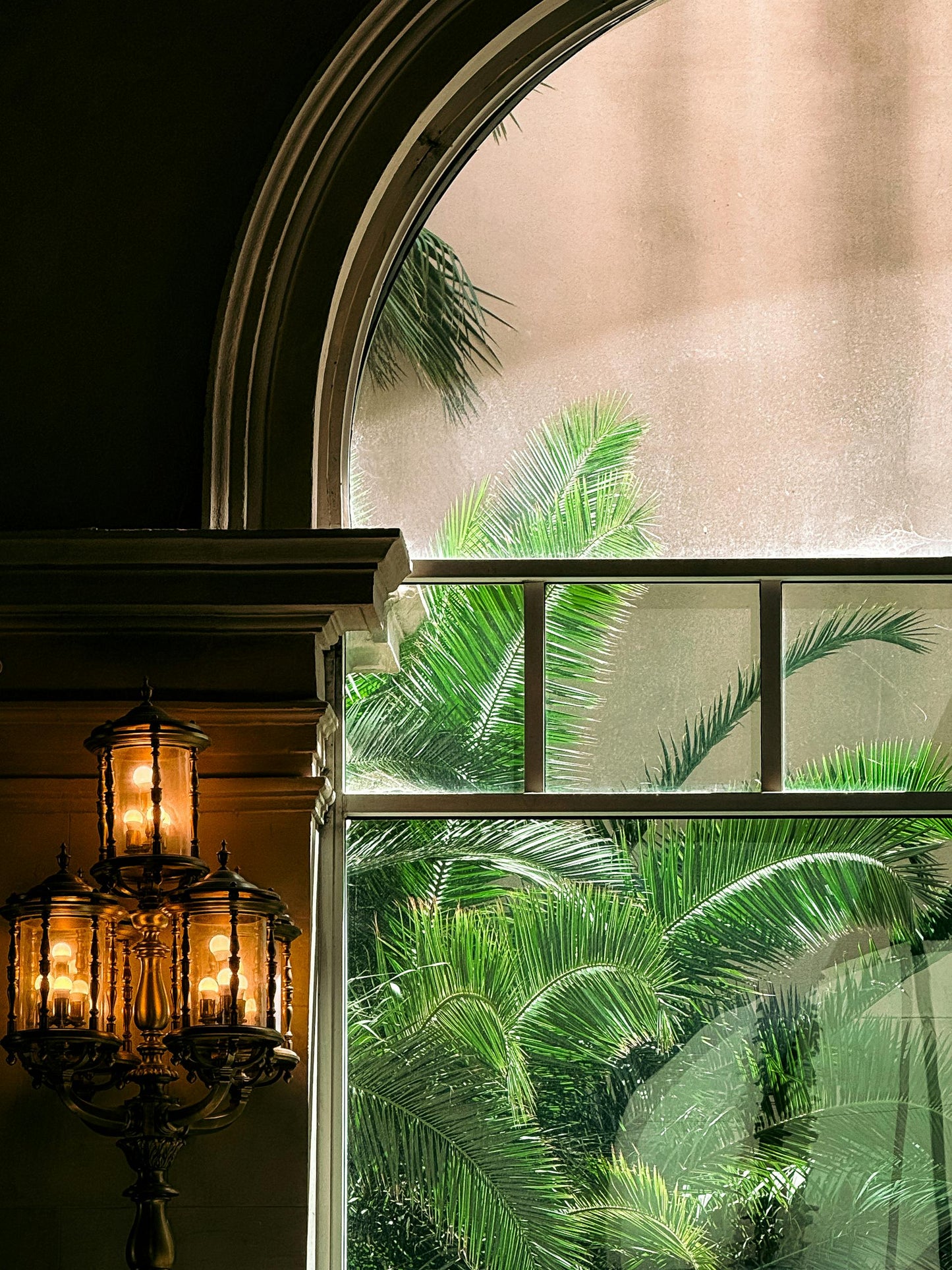 NATURA, Plantes & Aménagements Végétal