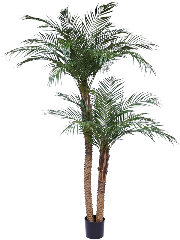 
                  
                    Palmier Phoenix artificiel
                  
                