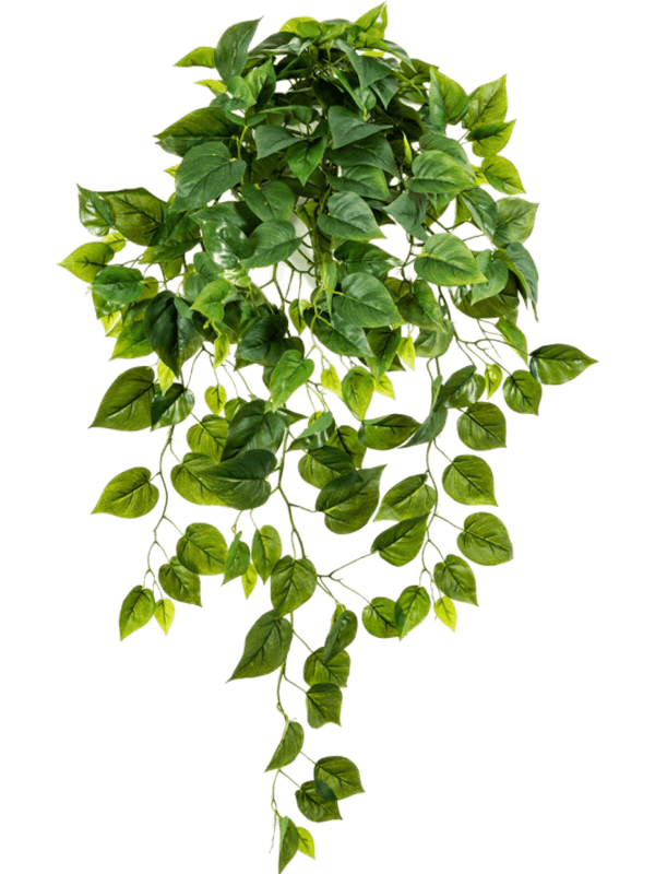 Philodendron Hanging Busch artificiel retombant
