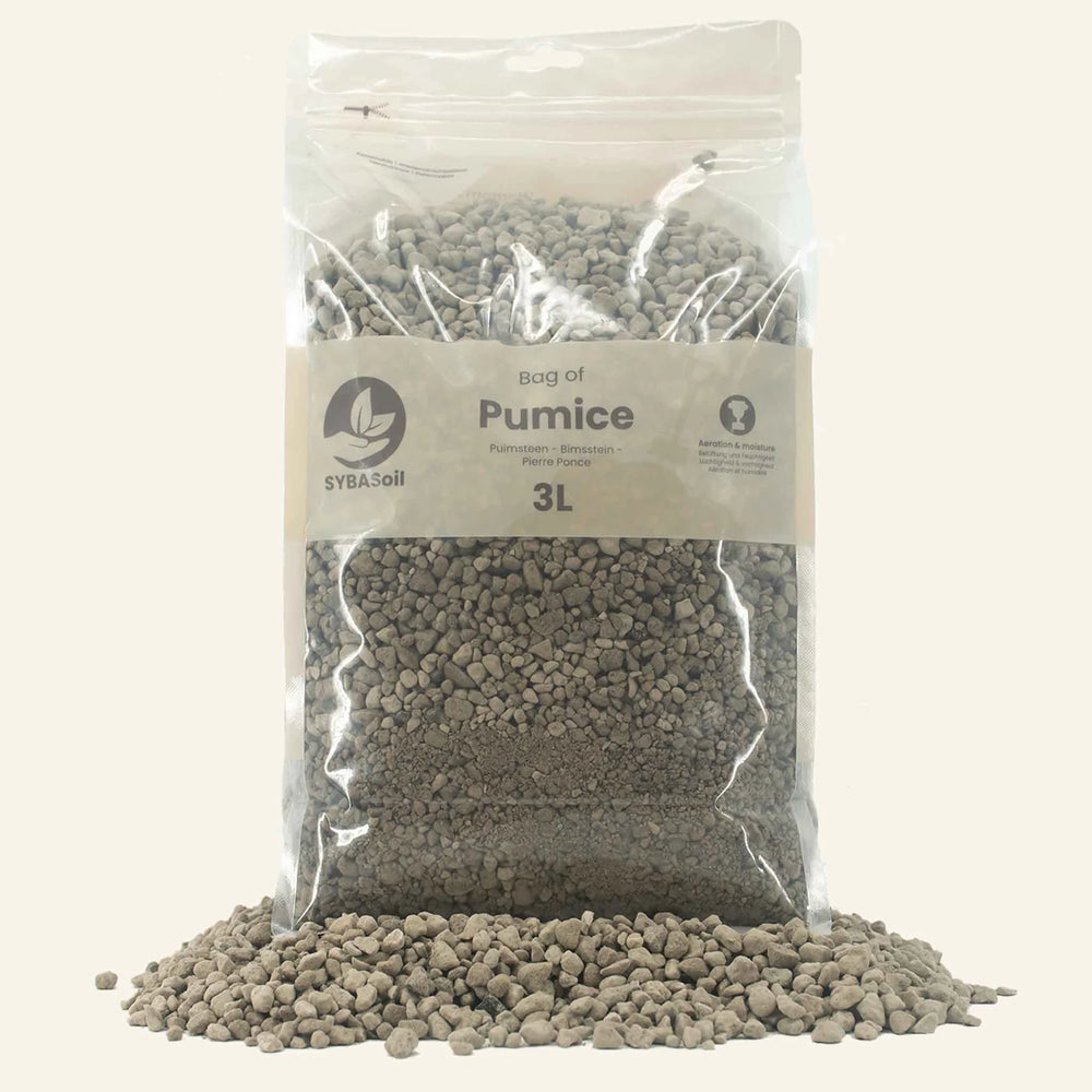 Pumice Pierre ponce