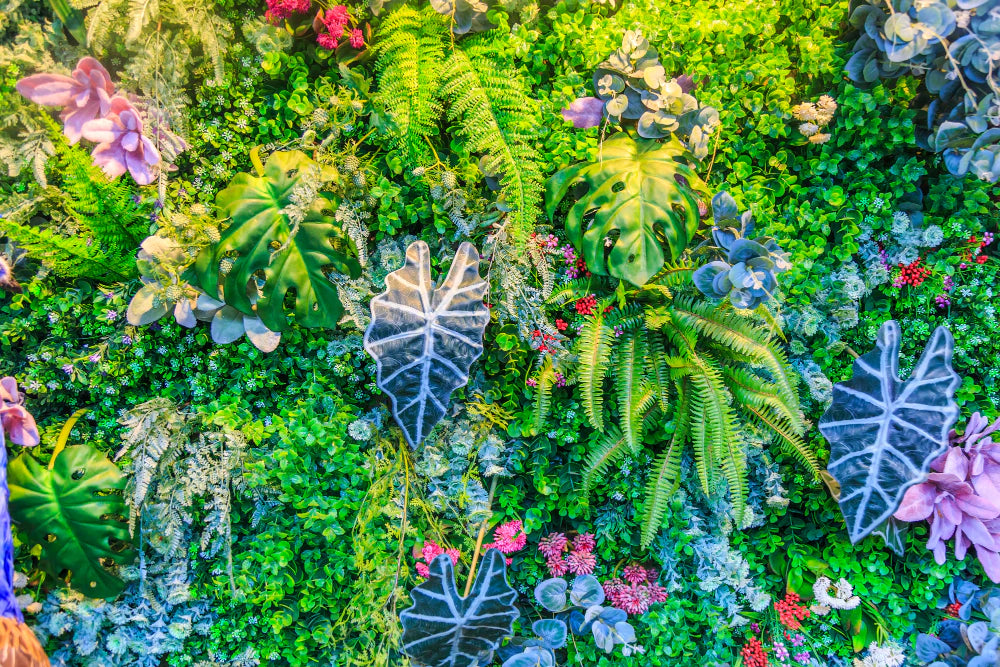 NATURA, Plantes & Aménagements Végétal