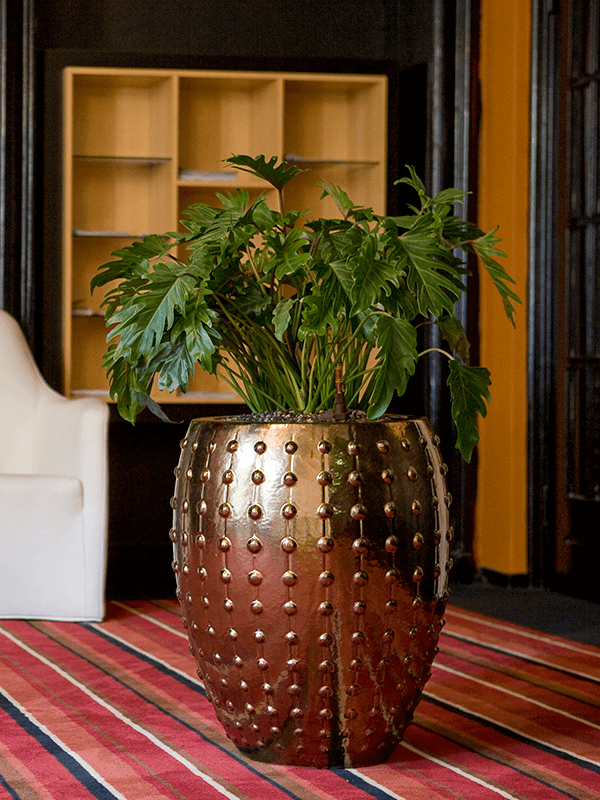 
                  
                    Pot BAQ Laos Emperor ceramique
                  
                