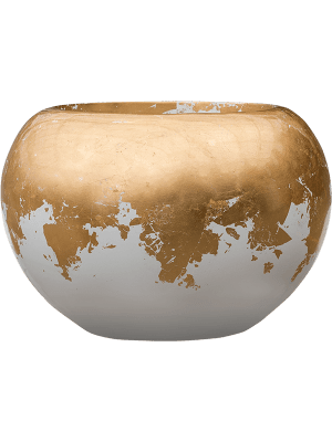 
                  
                    Composition Caryota mitis en Baq Luxe Lite Glossy
                  
                