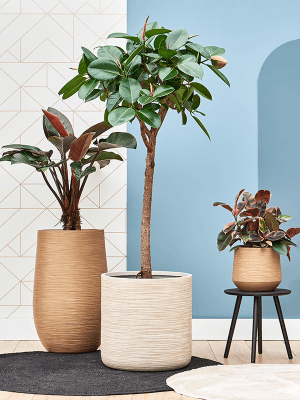 pot intérieur plante Pot haut baq Dune Partner