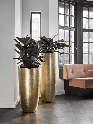 
                  
                    Pot Haut Baq Partner Glossy Gold
                  
                