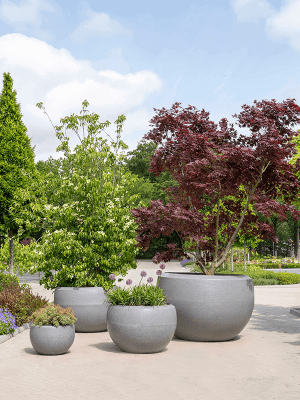 Bac Capi Arc Granite ( boule )