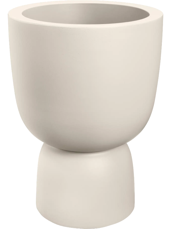 
                  
                    Pot Amber Coupe
                  
                