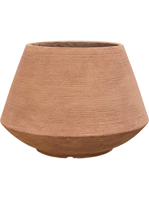 
                  
                    Pot Colorado
                  
                