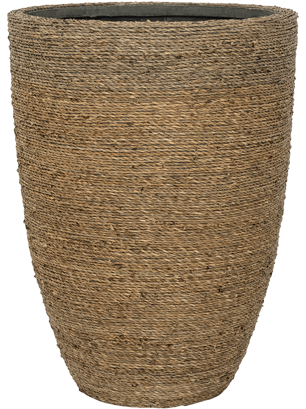 
                  
                    Pot Haut Bohemian Ben Straw Grass
                  
                