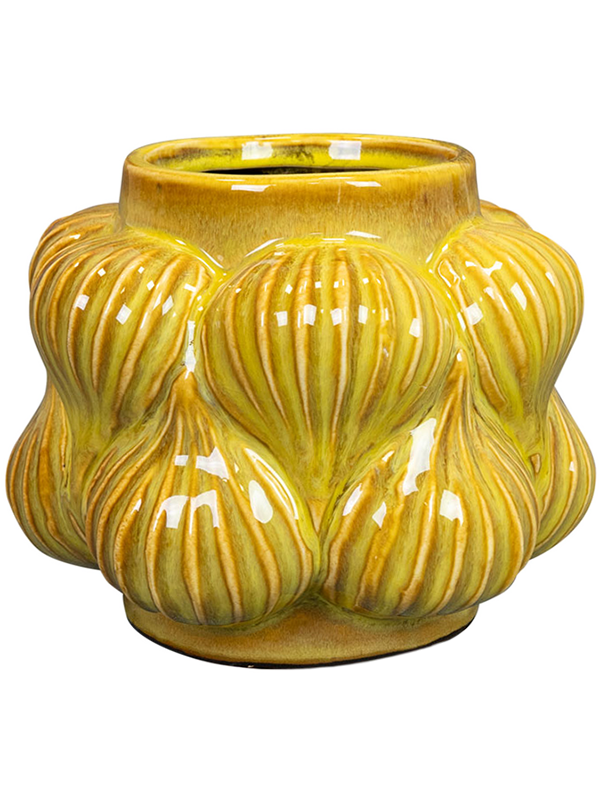 
                  
                    Pot Sanah
                  
                