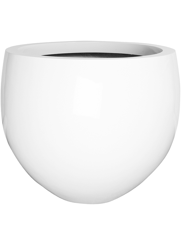 
                  
                    Pot Jumbo Orb
                  
                