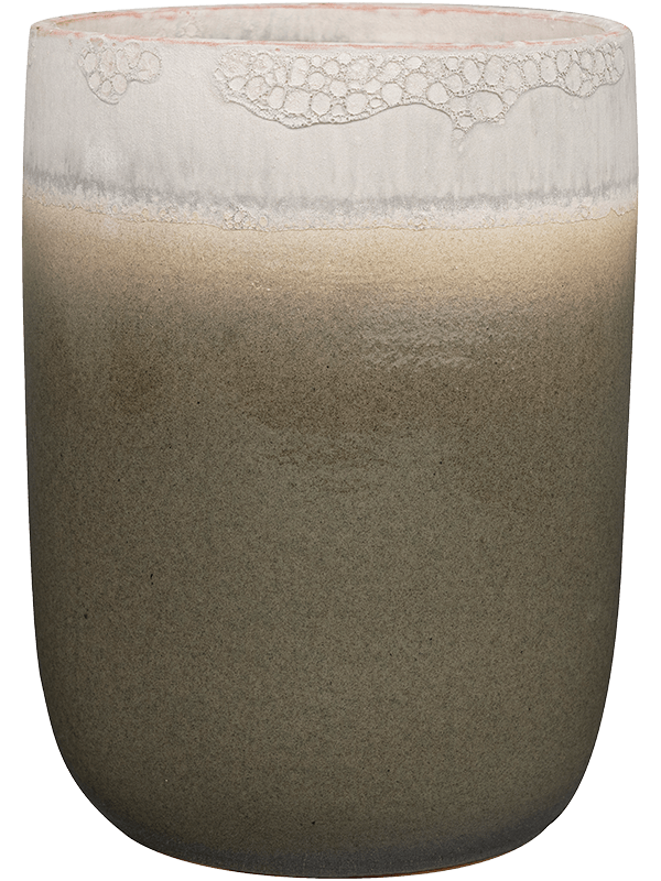 Pot Tara Tall Forest