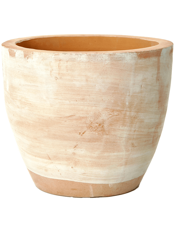 
                  
                    Pot Terra Cotta extra
                  
                