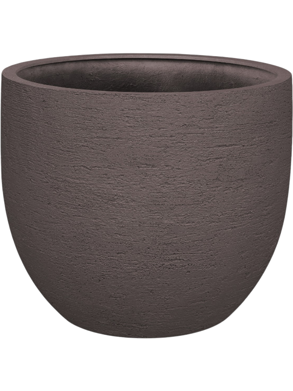 
                  
                    Pot Terreno New Egg
                  
                