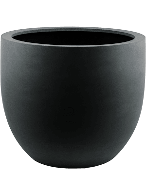 
                  
                    Pot Argento New Egg
                  
                