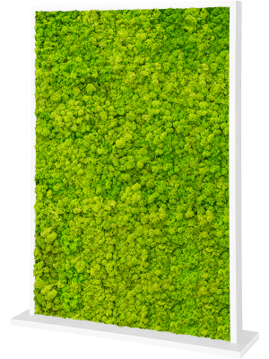 
                  
                    Séparateur en Mousse stabilisée ( Lychen vert )
                  
                