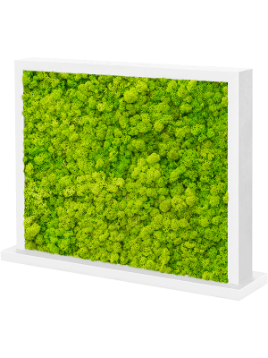 Séparateur en Mousse stabilisée ( Lychen vert )