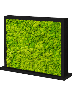 
                  
                    Séparateur en Mousse stabilisée ( Lychen vert )
                  
                
