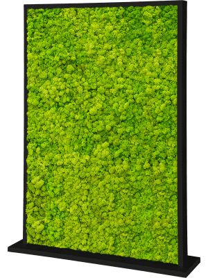 
                  
                    Séparateur en Mousse stabilisée ( Lychen vert )
                  
                