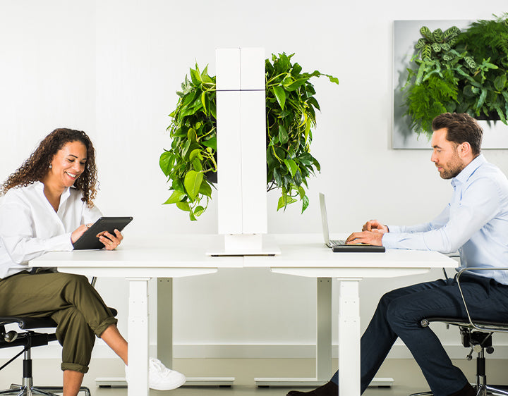 
                  
                    Séparateur végétal de bureaux LiveDivider PLUS ®
                  
                
