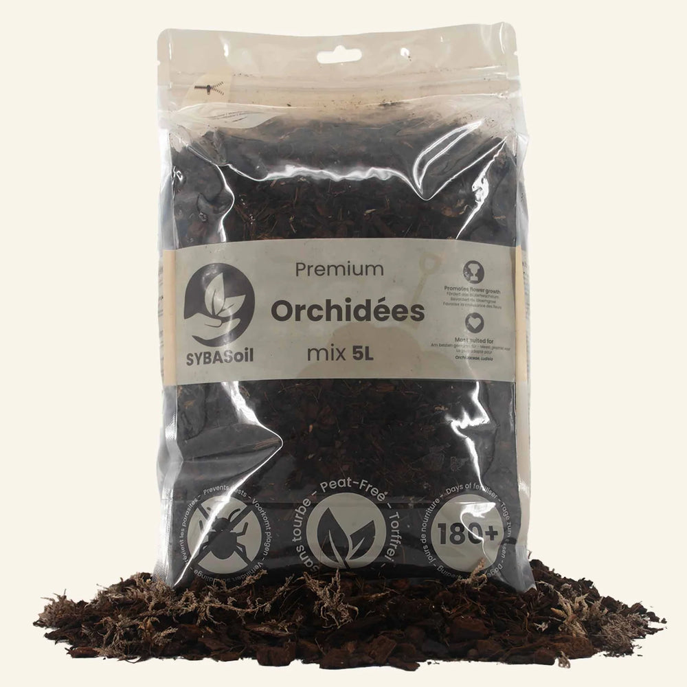 Substrat premium Orchidée