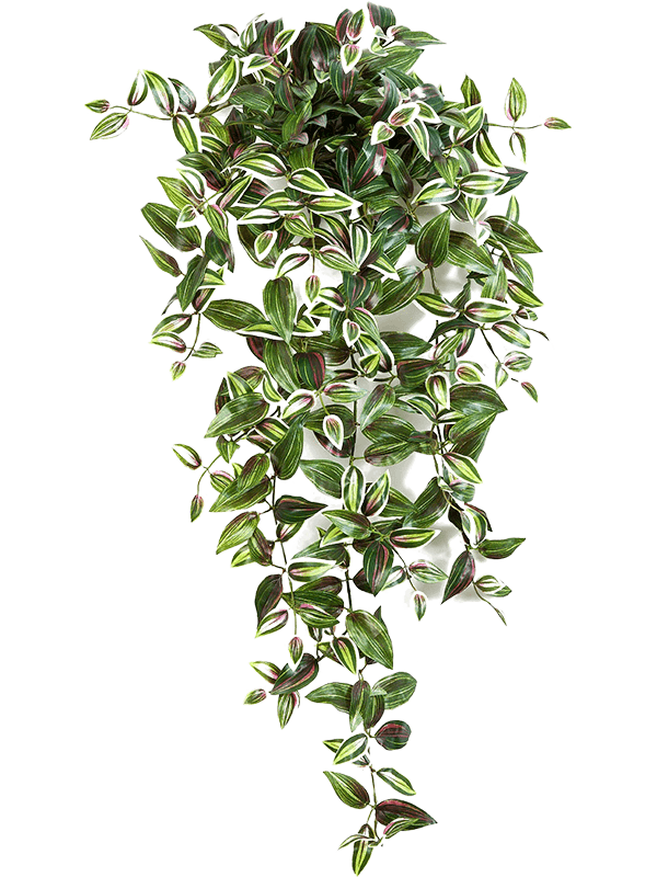 Wandering Jew Hanging Busch artificielle retombante