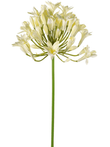 Agapanthe artificielle 75 cm