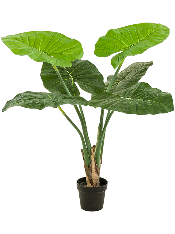 
                  
                    Alocasia artificiel à grandes feuilles vertes 90 cm — touffe en pot, référence 8EE431810
                  
                