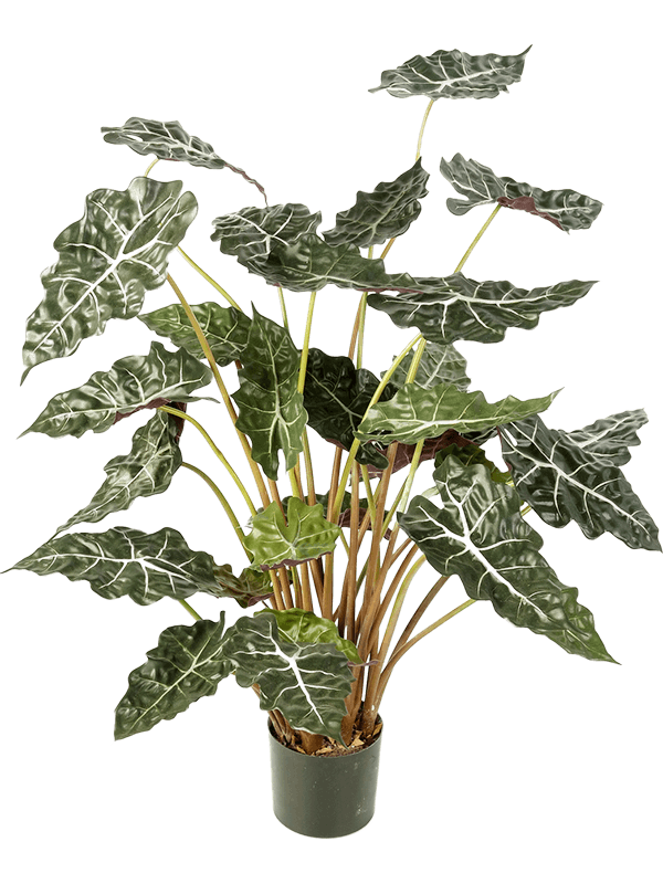 Alocasia Bush artificiel au feuillage tropical – NATURA