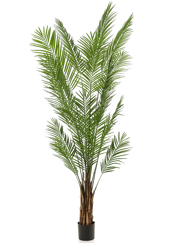 
                  
                    Areca palmier artificiel
                  
                