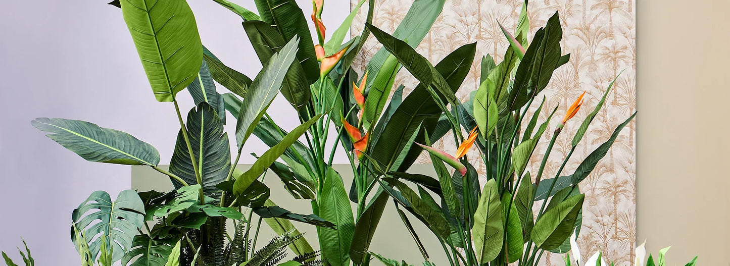 NATURA, Plantes & Aménagements Végétal