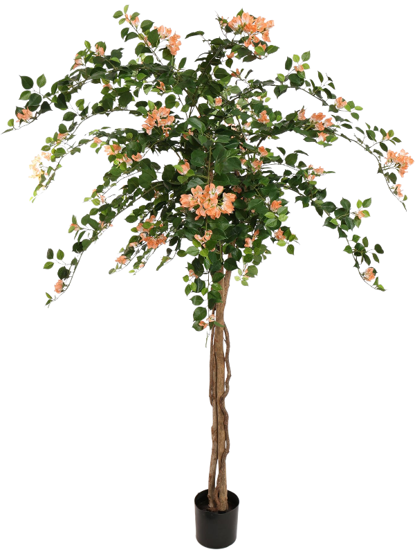 
                  
                    Bougainvillea arbre artificiel
                  
                