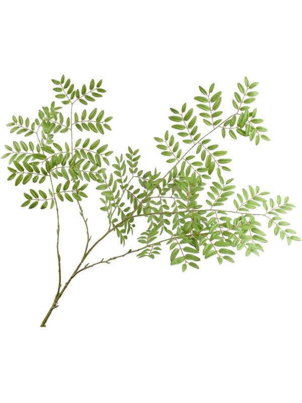 
                  
                    Branche feuillue artificielle verte Silk-ka 144 cm, référence 8SK149406 non ignifugée
                  
                