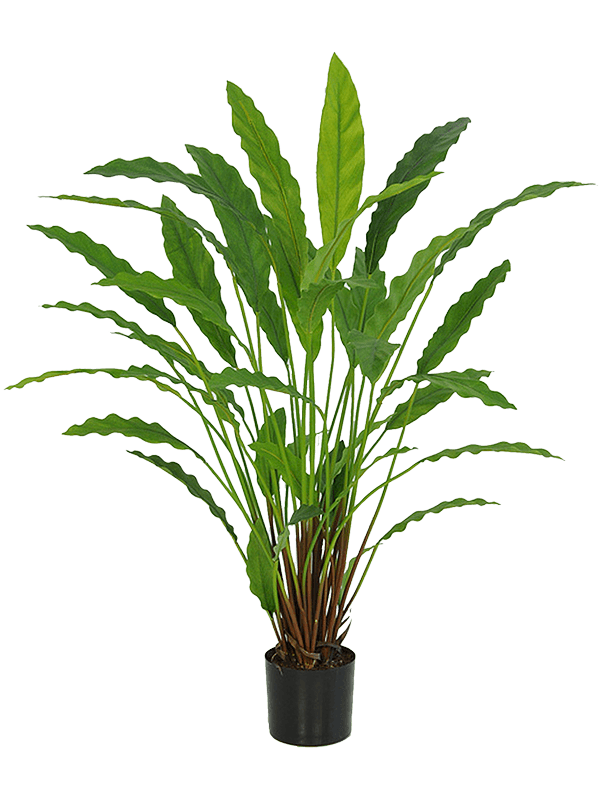 Calathea Bush FR artificielle ignifuge, feuilles vertes allongées et ondulées dans son pot de base