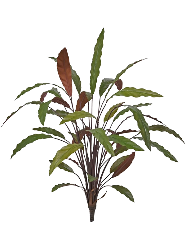 Calathea Red Bush artificielle à piquer, feuilles vertes ondulées à revers pourpres et base sans pot