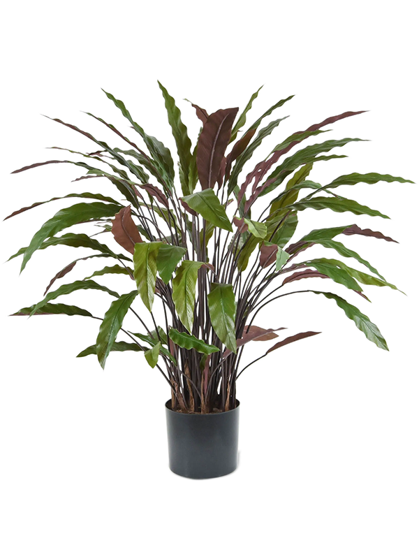 
                  
                    Calathea Rufibarba Blue Grass artificielle, format 85 cm et silhouette ample
                  
                