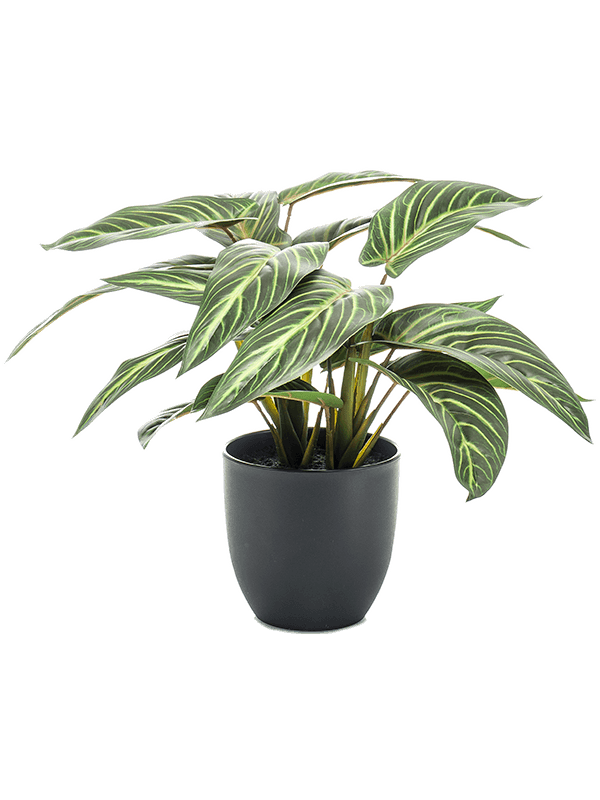 Calathea Zebrina artificielle, feuillage vert zébré et pot décoratif noir inclus