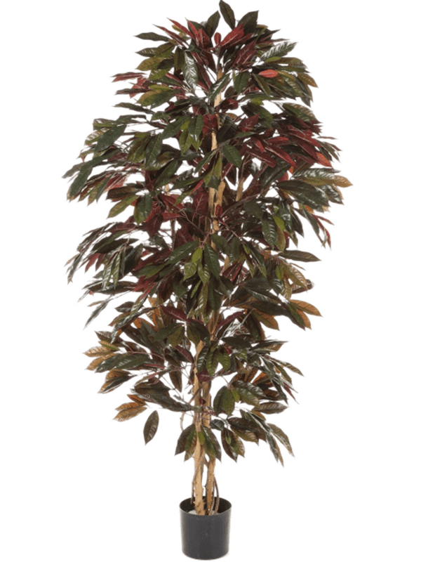 
                  
                    Capensia artificiel de 150 cm, feuillage vert et bordeaux, silhouette dressée en pot de base
                  
                