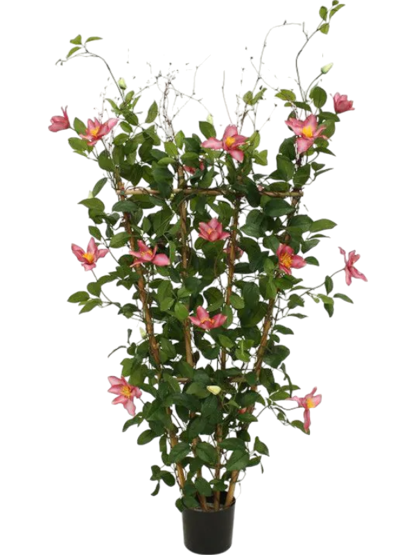 
                  
                    Clematis artificielle rose, silhouette entière et pot de base — référence 8DP193812
                  
                
