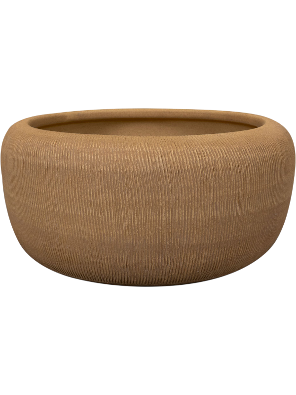
                  
                    Coupe Roxan Ter Steege Camel, hauteur 15 cm, diamètre 31 cm, finition striée – 6PTR76209
                  
                