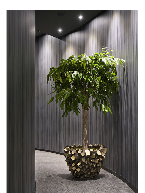 Plantinum