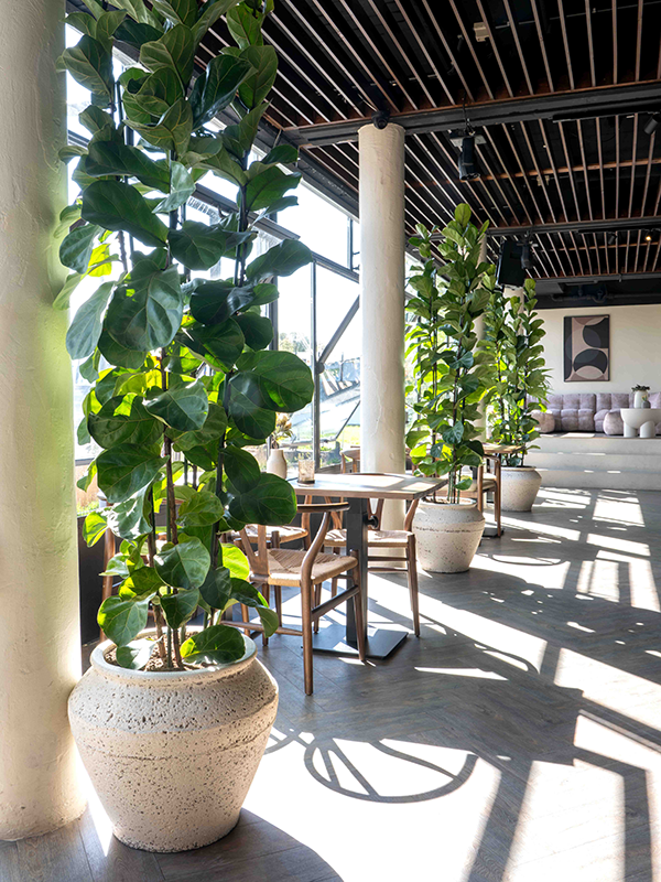 
                  
                    Pots Mediterranean Athena
                  
                