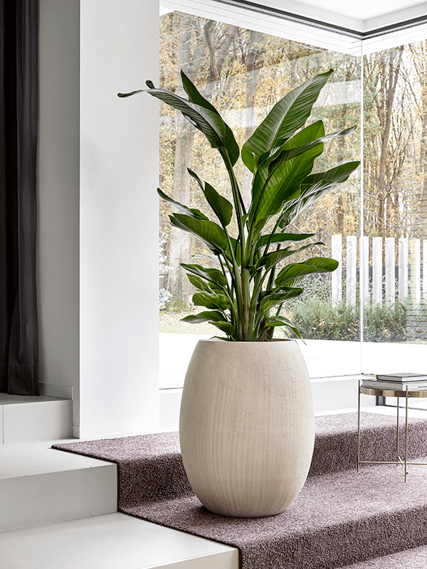 
                  
                    Pot Baq Polystone Coated Plain ( pochette )
                  
                